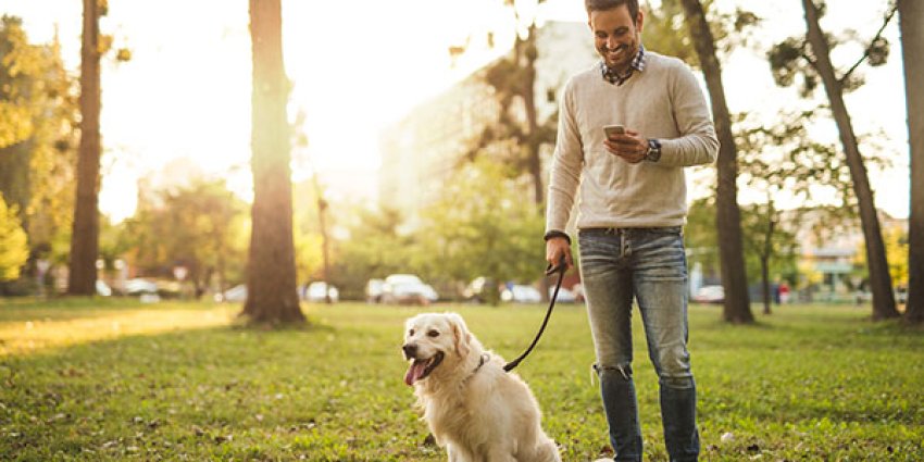 Mann med mobil lufter hunden.