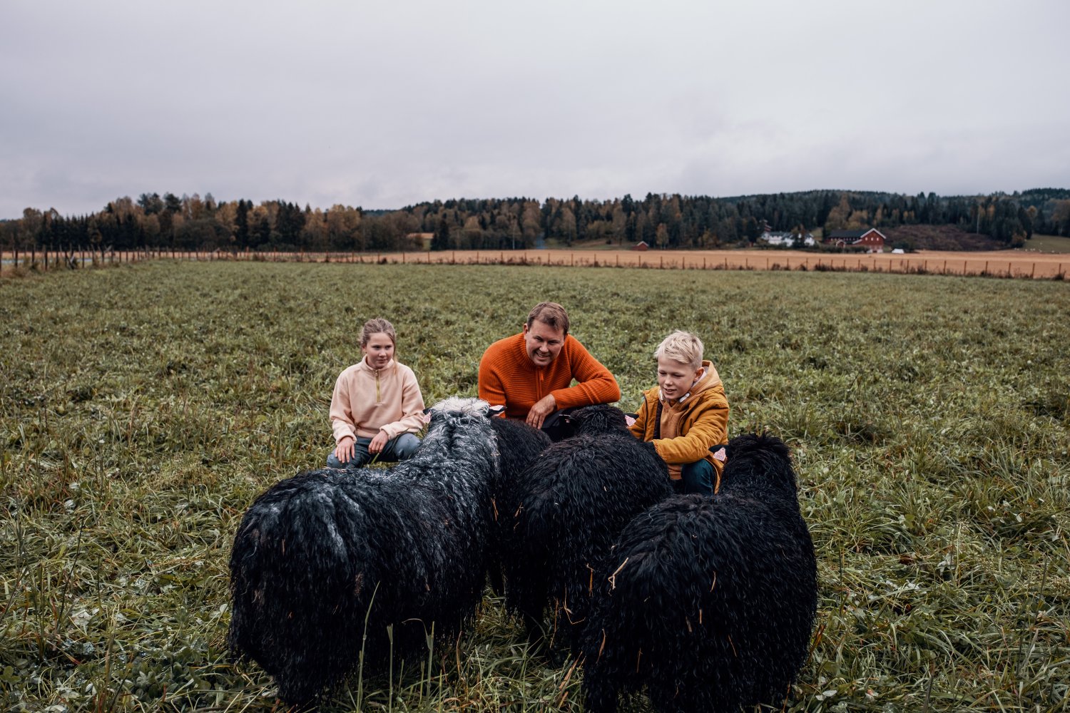 En familie sitter med sauene på et jorde.