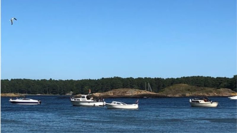 Båter på sjøen