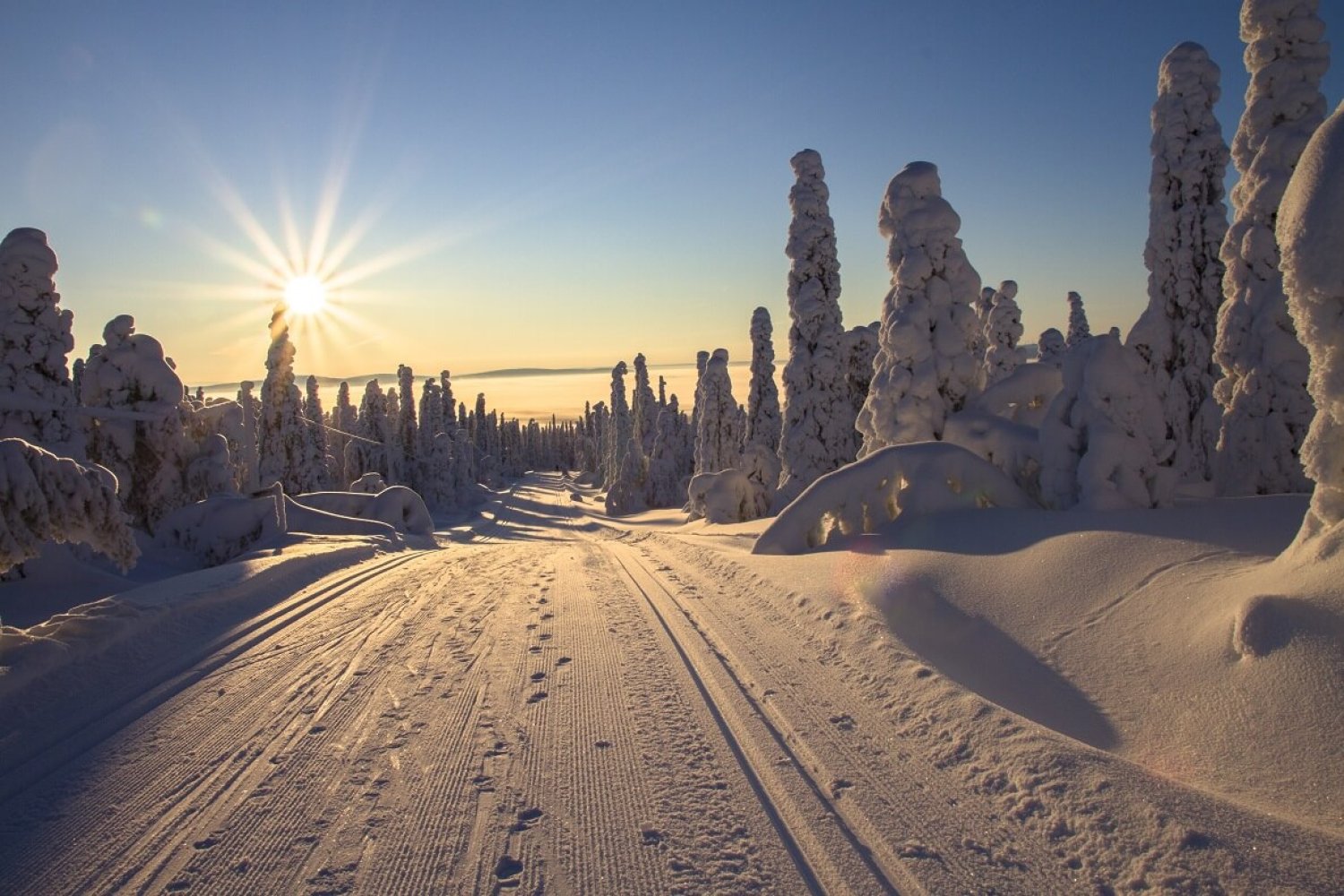 Skiløype, snø, sol