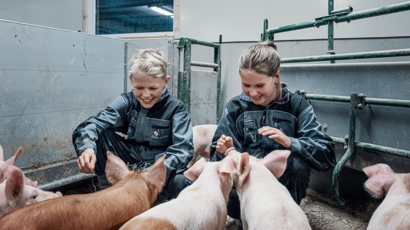 En familie sitter med sauene på et jorde.