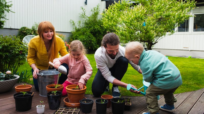 Foreldre og barn på terrasse. Planter.