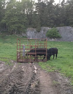 Kassen er en åpen konstruksjon som gir fri sikt fra både inn- og utsiden