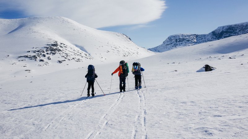 Skitur. Fjellet. Klarvær. Skispor. Snø