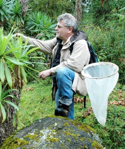 Insektforsker Lars Ove Hansen blant noen planter i Kenya.