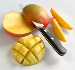 Spisemoden mango