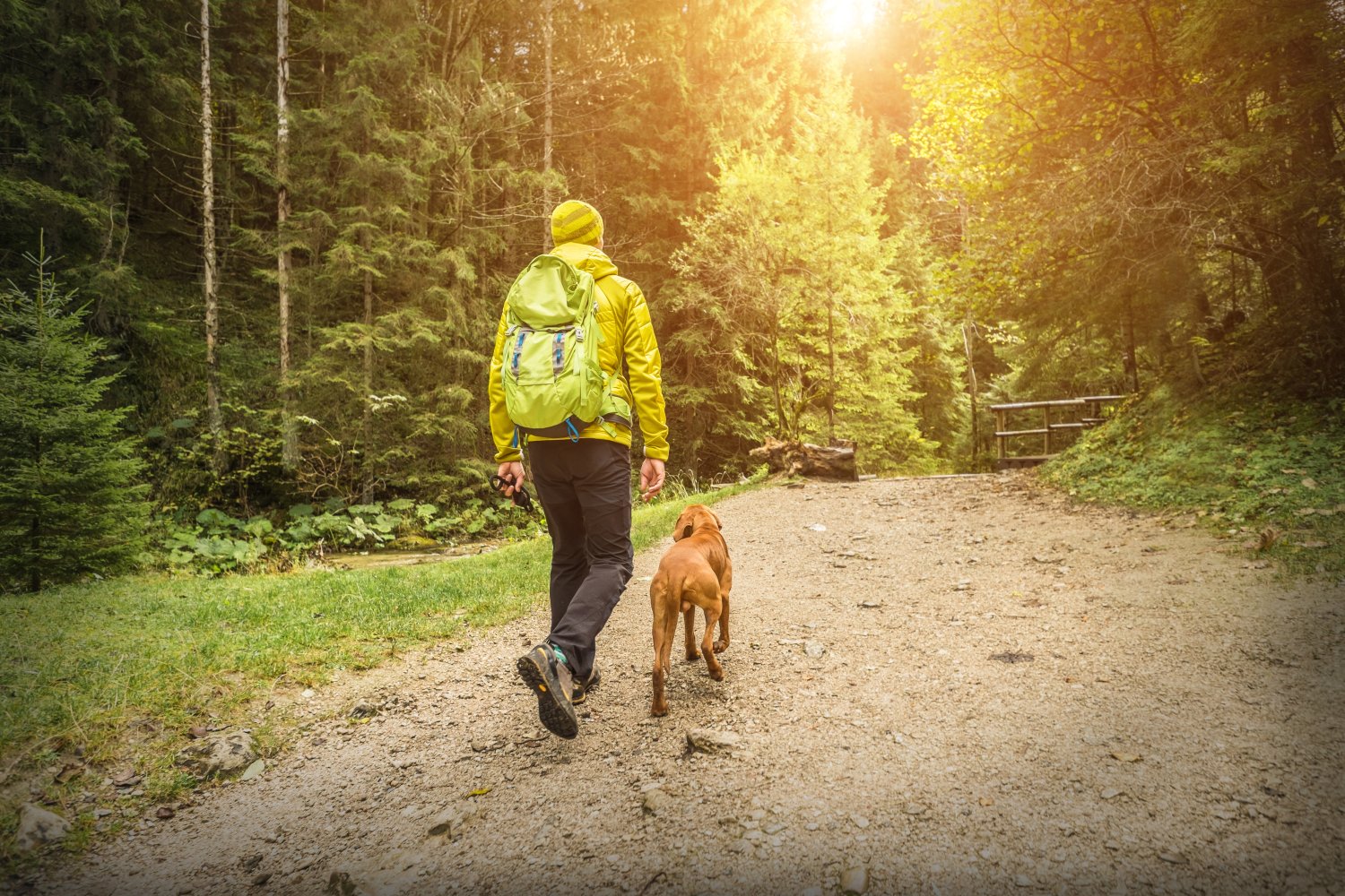 Mann. Hund. Skog.