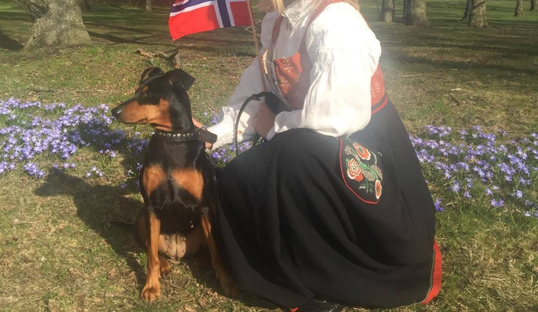 17. mai. Bunad. Hund. Flagg. Gress. Sol