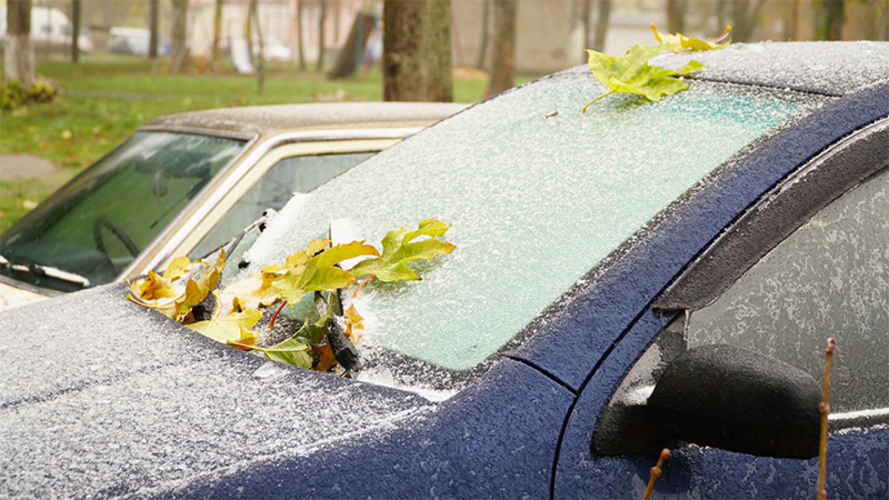 Bil dekket med is og løv.