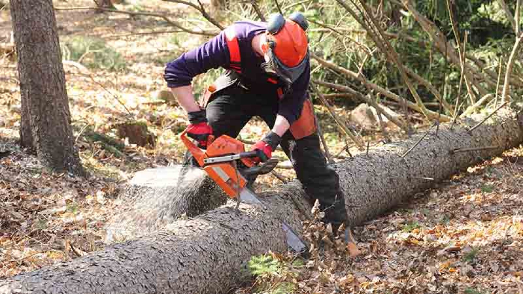 Mann som jobber i skogen med motorsag.