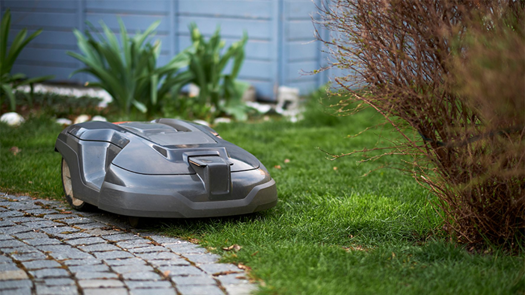 Robotgressklipper i hage.
