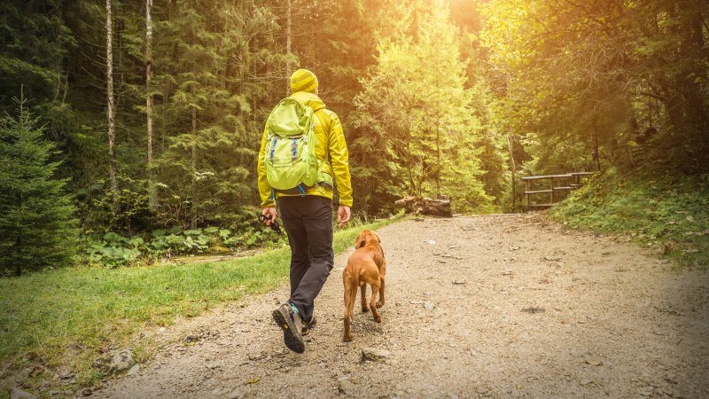 Mann. Hund. Skog.