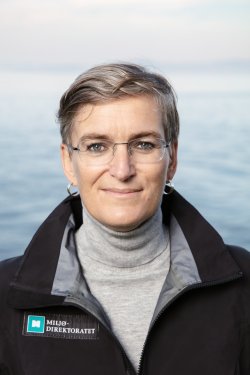 Direktør Ellen Hambro i Miljødirektoratet.