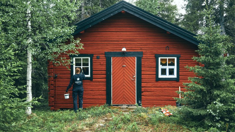 Dame maler rød hyttevegg i skogen
