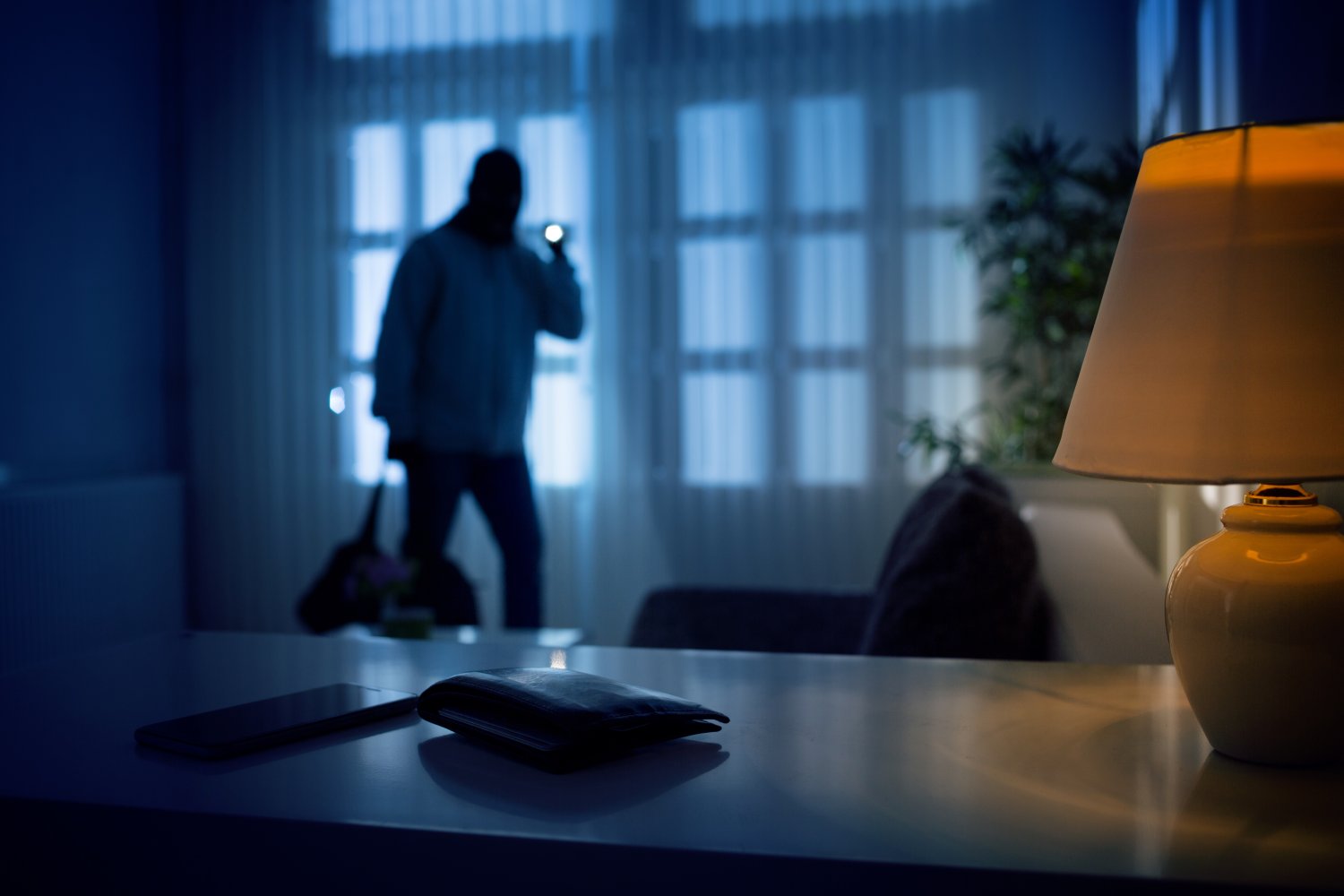 Bildet viser en innbruddstyv som har brutt seg inn i stua