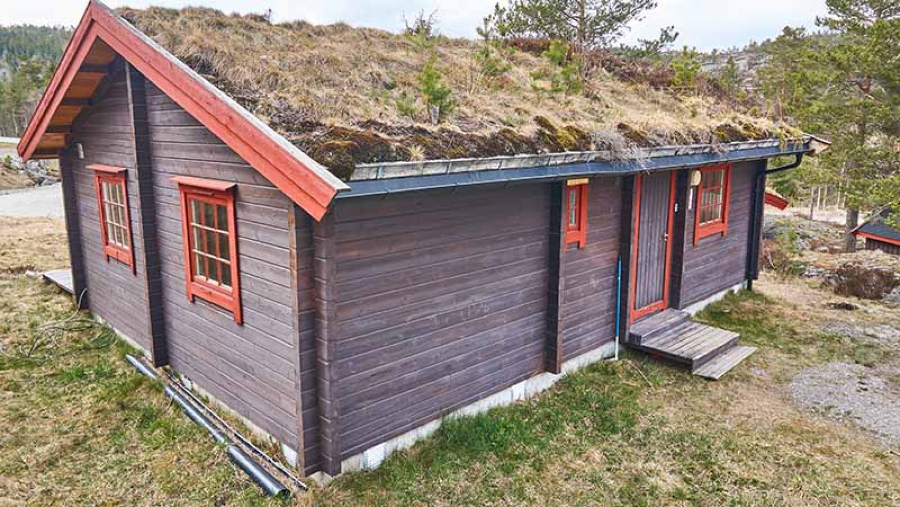 Hytte. Gresstak. Skog. Fjellet