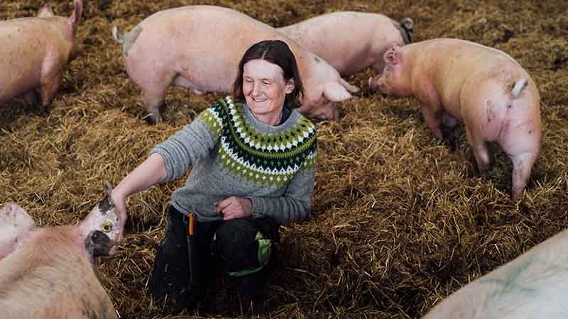 Astrid Staurheim i fjøs med griser.