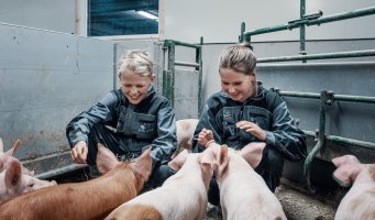 En familie sitter med sauene på et jorde.
