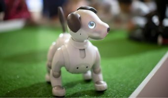 Robothund.