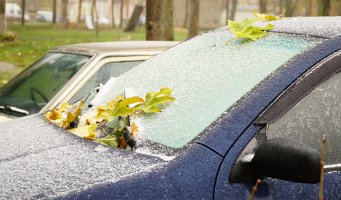 Bil dekket med is og løv.