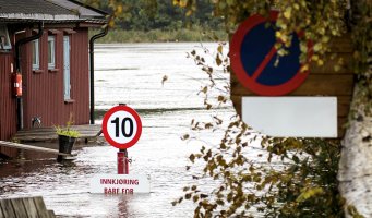 Mørkt. Vindu. Regn. Vind.