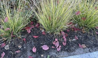 Lite kontormiljø i møte.