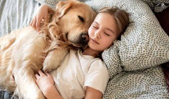 Ung jente som sover sammen med hunden sin