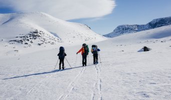 Skitur. Fjellet. Klarvær. Skispor. Snø